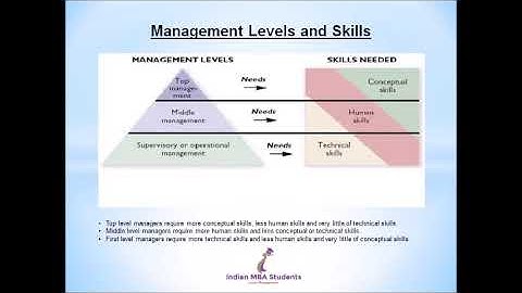 Levels and skills of management