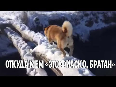 Это мерседес братан