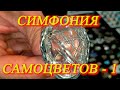 Москва. Июнь 2021. Амбер Плаза. Ювелирная выставка "Симфония самоцветов" - часть 1.