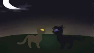 Dead ♥'s are Everywhere. [Leafpool AMV]