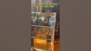 Tăng công suất gói quà tết 2026 💪🏻