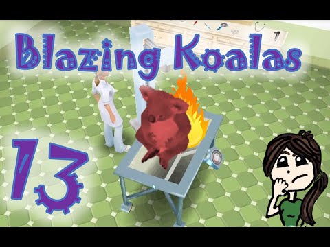 Red Hot Chili Koalas |Scenario 13 Pet Vet 3D Animal Hospital Down Under (PC)