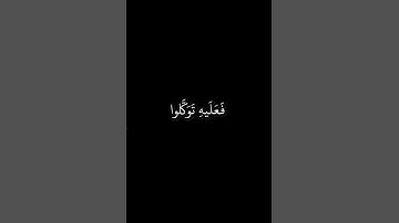 ماتيسر من سورة يونس بصوت الشيخ / نبيل الرفاعي .