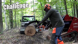 Stihl MS 661 Mag Vs MS 500i Vs MS 362 Vs MS 261 Testing | What Chainsaw is THE BEST