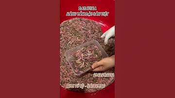 Rưới Tứ Kỳ - Hải Dương: Lộc Trời Ban | Đặc Sản Ngon Khó Cưỡng Của Miền Bắc