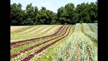 FULL VIDEO - Canadian Aerial Applicators Educational Video