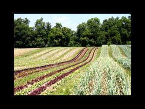 FULL VIDEO - Canadian Aerial Applicators Educational Video