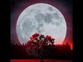 Live Stream RESQ