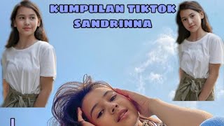 Tiktok Sandrinna Michelle And Squad