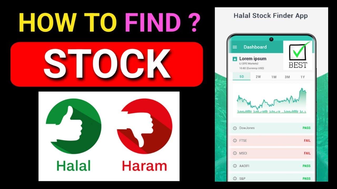 Stock Halal hai Ya Haram Kaise Pata Karen? Halal Stock Screener - YouTube