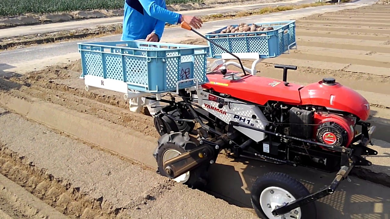 ヤンマーph 1s里芋植え付け機 Youtube