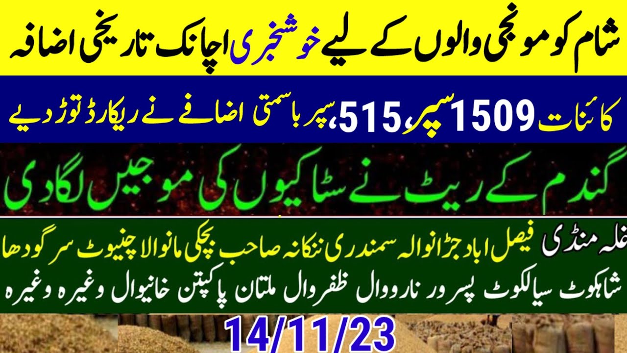 1509-dhan-ka-rate-today-dhan-1509-rate-today-munji-rate-today-gundam