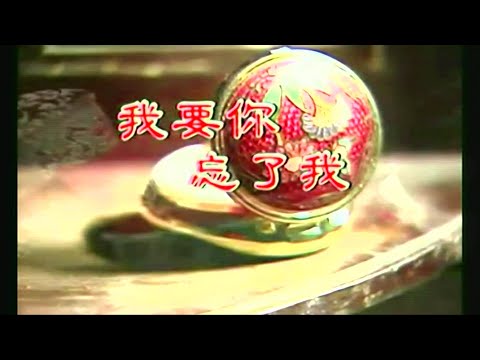 我要你忘了我-费玉清-伴奏 KARAOKE