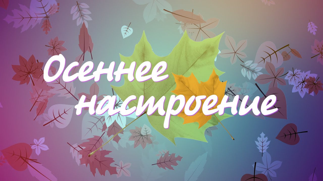 Рубрика «Осеннее настроение». Дмитрий Гаврилов и Александр Михайлов