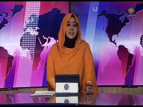 مؤجز الاخبار 29 11 2025