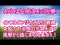 【あらゆる病気に効果】インフルエンザの季節です。予防しましょう・風邪から癌にまで効果のある周波数・免疫力や治癒力が高まります!音楽療法・432Hz×444Hz×528Hz×シューマン共振7.83Hz