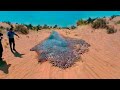 POR QUE MILHÕES DE PEIXES APARECERAM NO MEIO DO DESERTO?