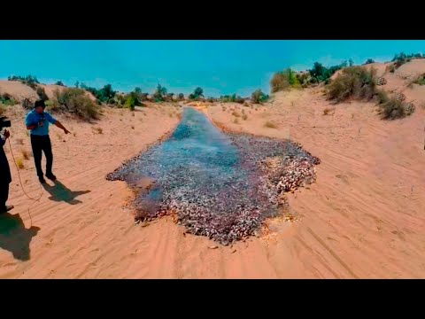 Vídeo: Há peixes no lago da cratera?