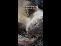 Otter Encounter Quiz