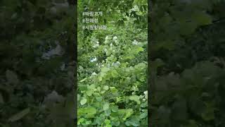 #바람고개 #진해성 #시원한바람