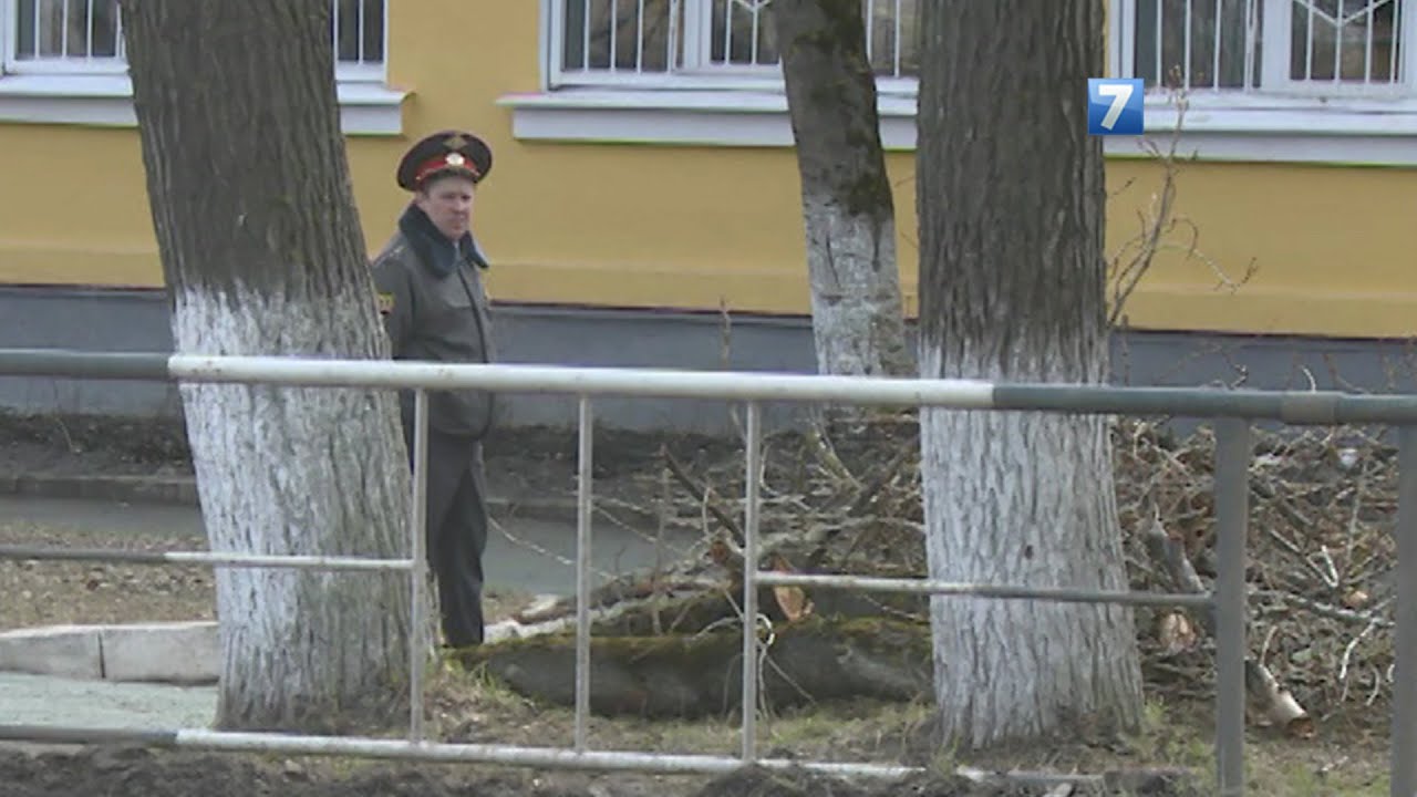 школа 8 вологда фото смотреть