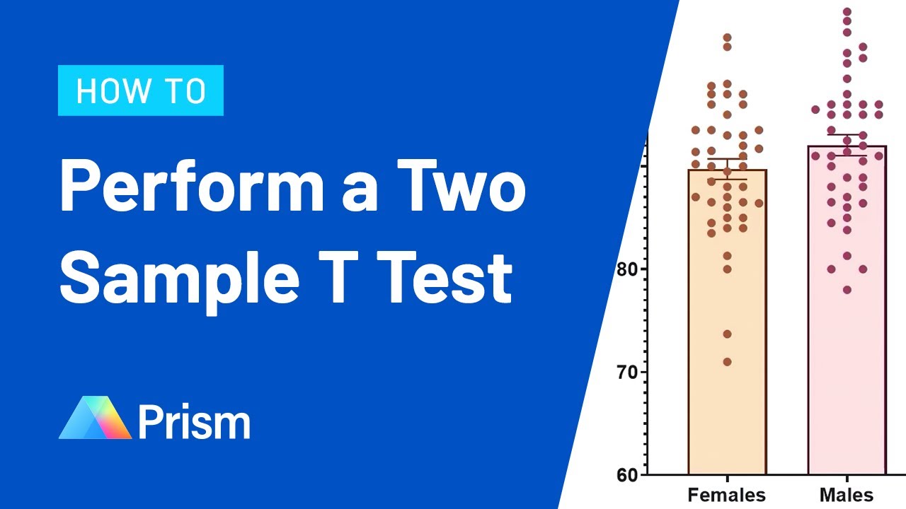 write an essay on t test