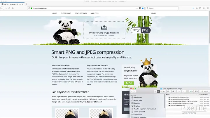 Optimising images using TinyPNG