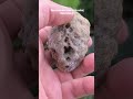 Gąbka #kamyki #minerals #rock #rocks #rockhounding #kamienie #kamieniorz #kamyczki #fossils #fossil