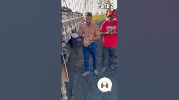 #food #foodie #foodlover #trending #viral #shorts #ytshorts #youtube #reels #viralvideos