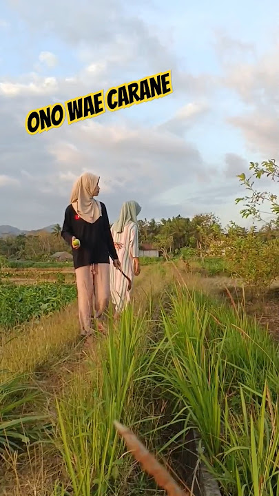 Nang Sawah wes biasa ,, #comedy