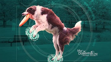 Electronic Stability Control (ESC) - With Rick & Scout