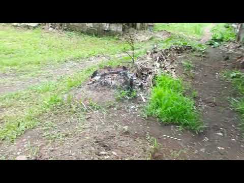 #viralvideo sorroundings is cleaned.... cleaning activity is done