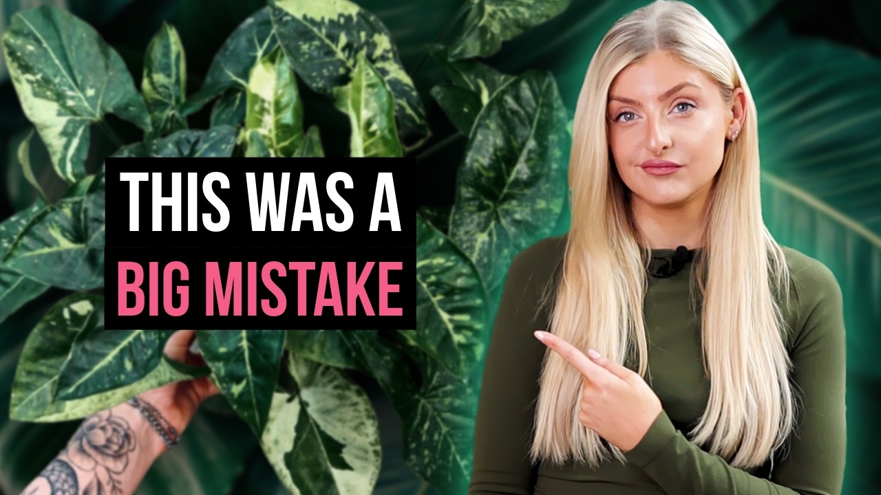 Растения, которые я перестал покупать (и что я покупаю вместо них)