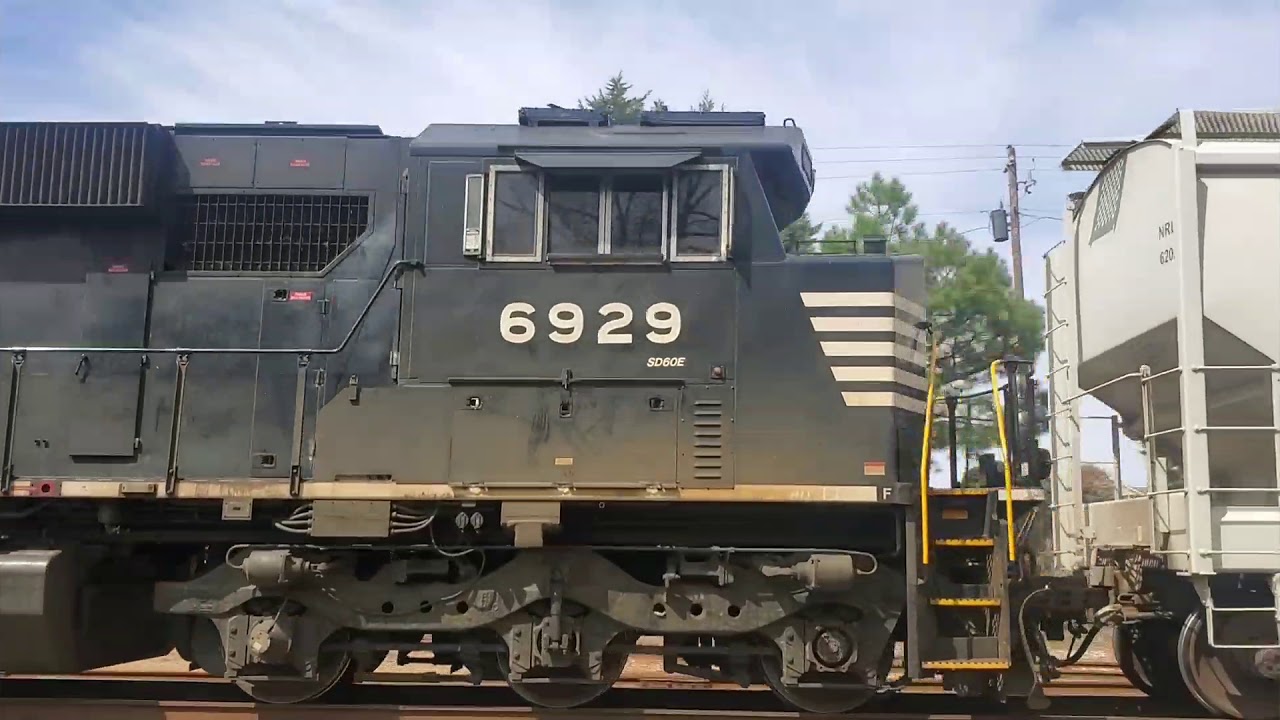 King of the Hornshows 🚂