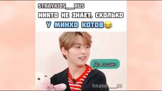 Смешные и милые моменты с Stray Kids из Инстаграм [3]