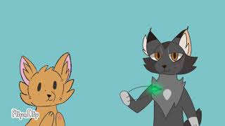 Leekspin entry