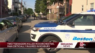 2 teens killed, another person critically injured