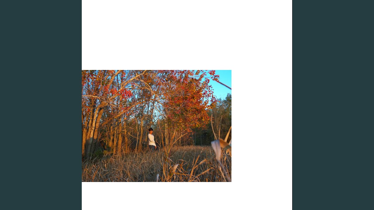 Watch Buckwheat on YouTube Watch Buckwheat on YouTube