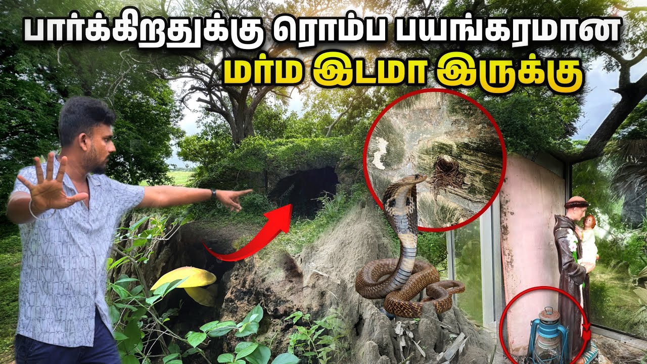 இலங்கையில் தமிழர் வாழும் கிளிநொச்சி - இயக்கச்சி ஊரில் வரலாற்றில் இடம் பிடித்த கோட்டை