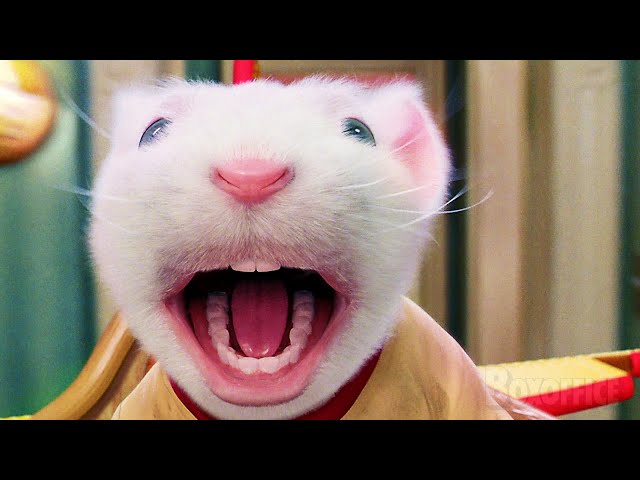 Las 5 veces en las que Stuart Little fue el mejor hermano de todos 🌀 4K class=