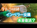 テトラAX60インペラー交換