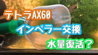 テトラAX60インペラー交換