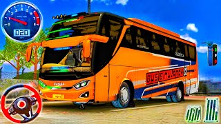 Crazy Bus Racing Driver 3D - IDBS Bus Simulator X - Multiplayer - Android GamePlay screenshot 5