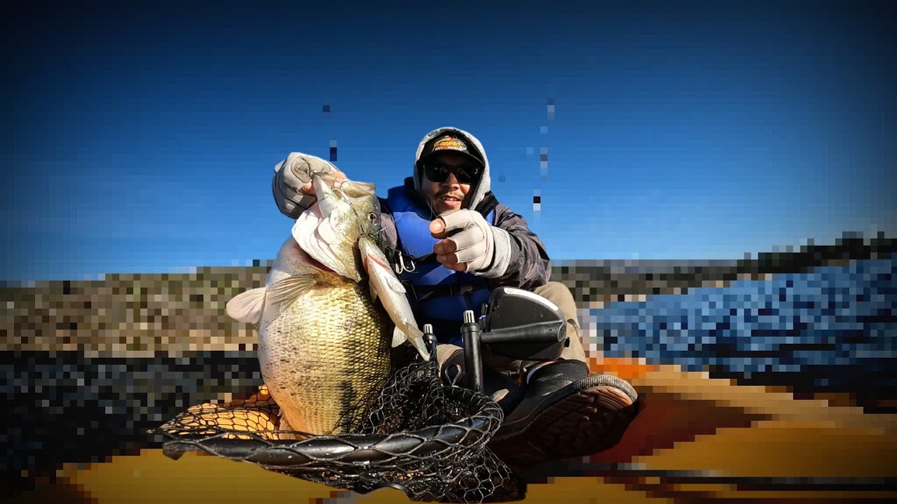 My BIGGEST 5 Bass limit ON SWIMBAIT!