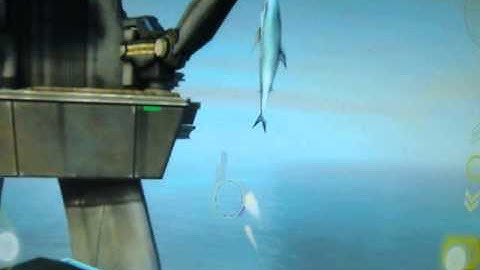 GPD5005 - Bombshells Hell