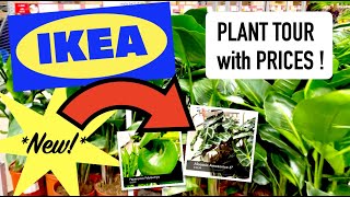 IKEA PLANT TOUR 2022! WHATS NEW IN 2022?