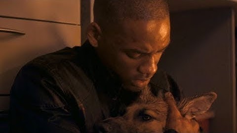 致死率90％のウイルスが地球に蔓延。一人の科学者が立ち向かう【映画紹介】「アイ・アム・レジェンド」