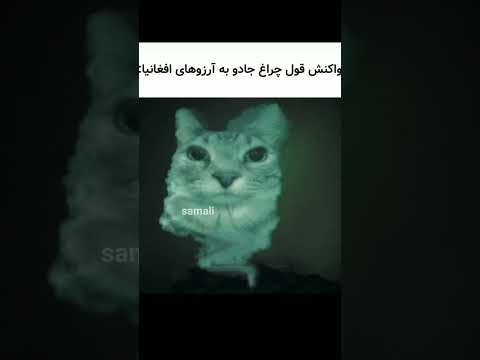 نان خشک داده کو 