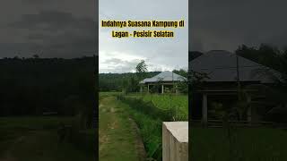 Keindahan Persawahan di Lagan - Linggo Sari Baganti - Pesisir Selatan