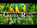 FLYING OVER COSTA RICA (4K UHD) - Relaxing Music Along With Beautiful Nature Videos - 4K Video HD